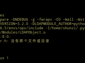 deepin linux 安装python-ldap找不到lber.h的解决方法